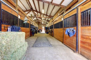 Equine Security Systems in Maryland